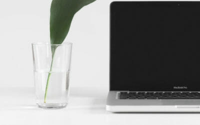 Decrease Clutter, Increase Productivity