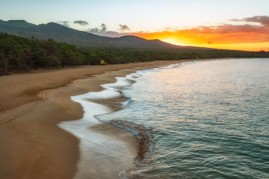 cohesive branding solutions Maui