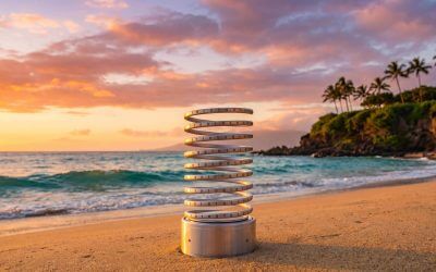 Maui Food Bank Wins the Webby People’s Voice Award